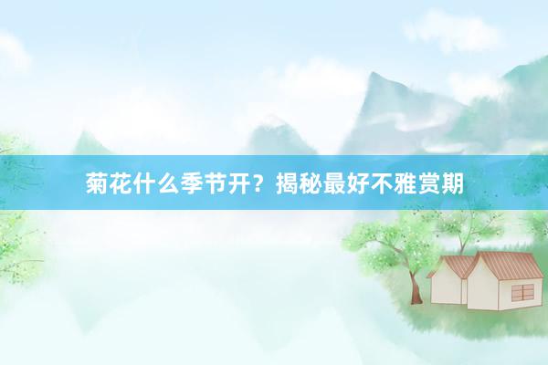 菊花什么季节开？揭秘最好不雅赏期