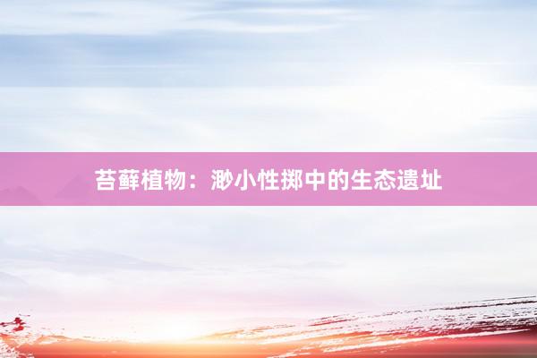 苔藓植物：渺小性掷中的生态遗址